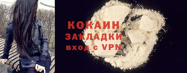 мдпв Гусь-Хрустальный