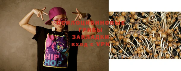 мескалин Горнозаводск